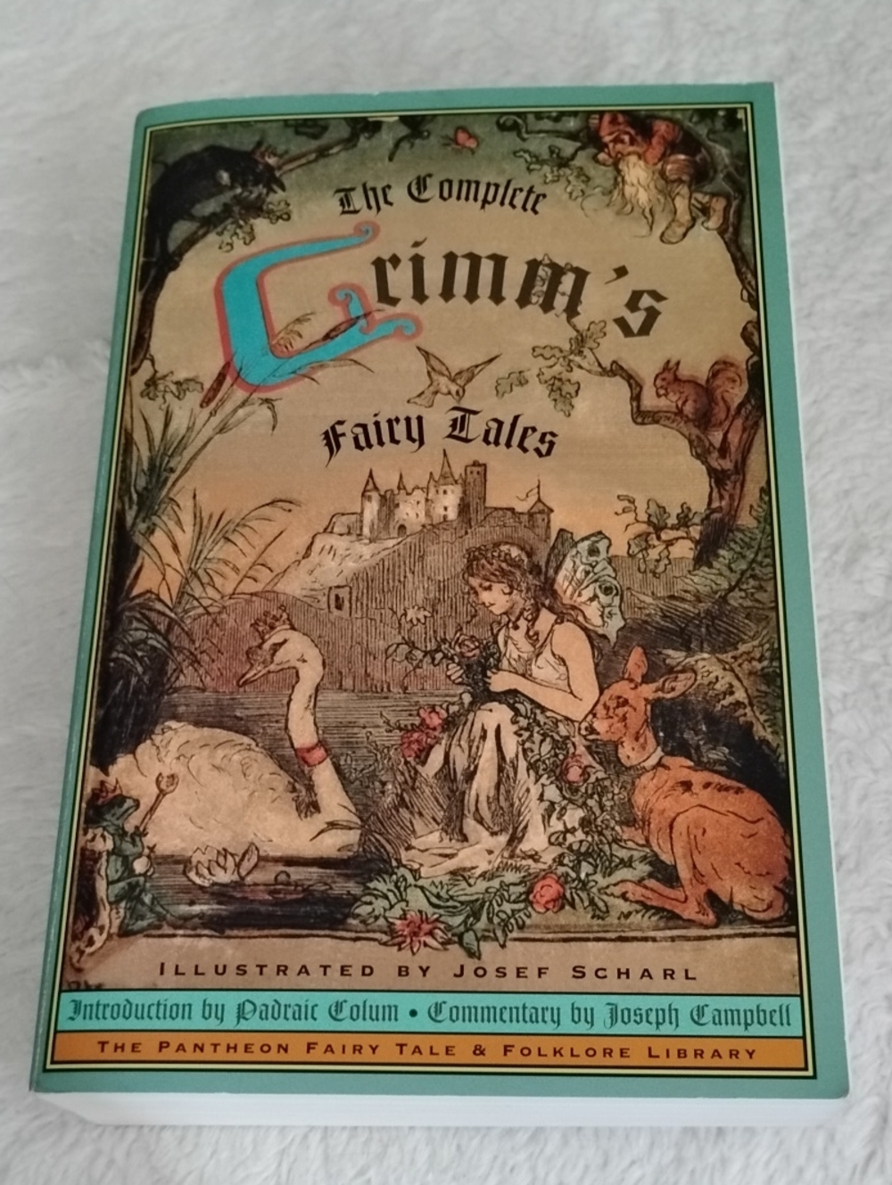 Grimm's Fairy Tales Illustrated Soft Cover